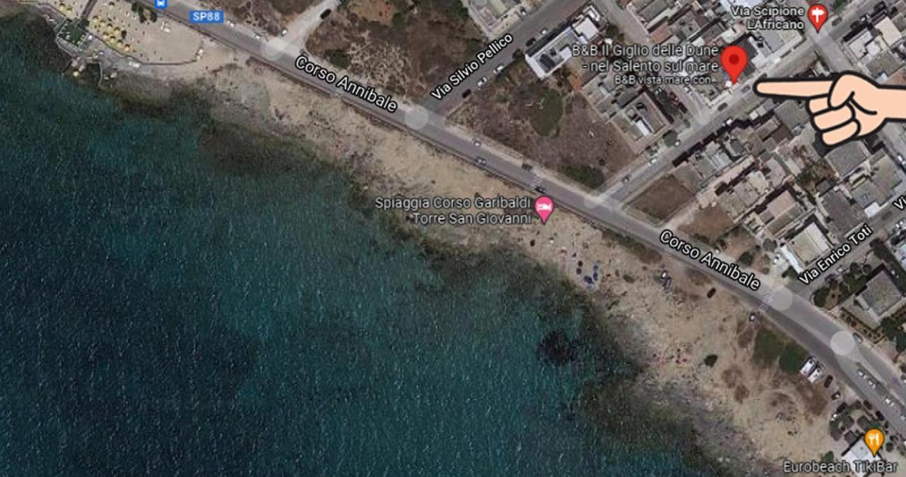 Il Giglio Delle Dune Bed & Breakfast *